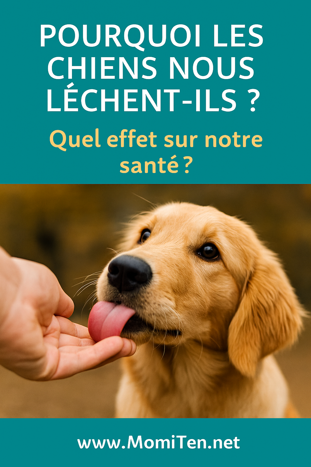 Pourquoi les chiens nous lèchent Ce que Mamie vous apprend
