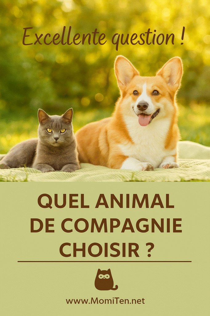 🐾 Quel animal de compagnie choisir ? Les conseils de Mamie pour bien décider