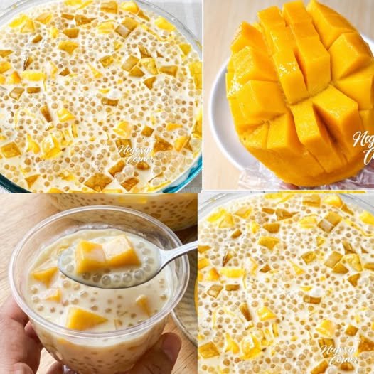 Creamy Mango Tapioca Delight