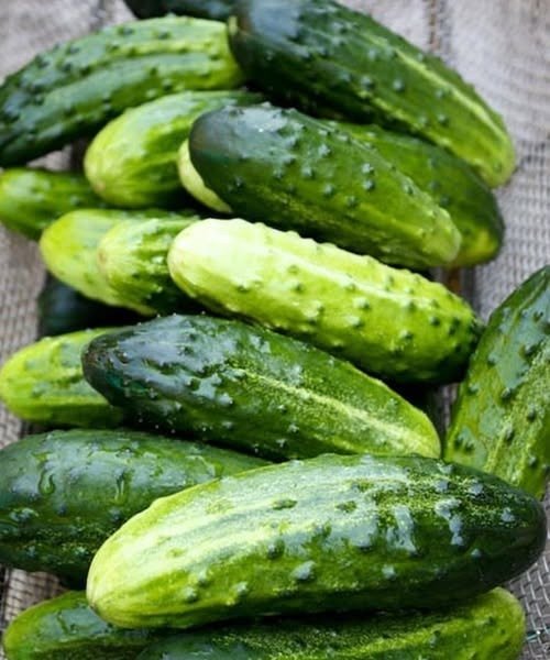 Doctors Reveal What Happens When You Eat Cucumbers in Salad — Healthy Benefits, Nutrition & Smart Tips