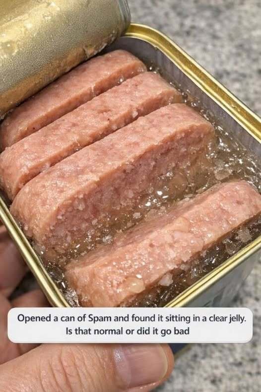 Opened a can of Spam and found it sitting in a clear jelly. Is that normal or did it go bad