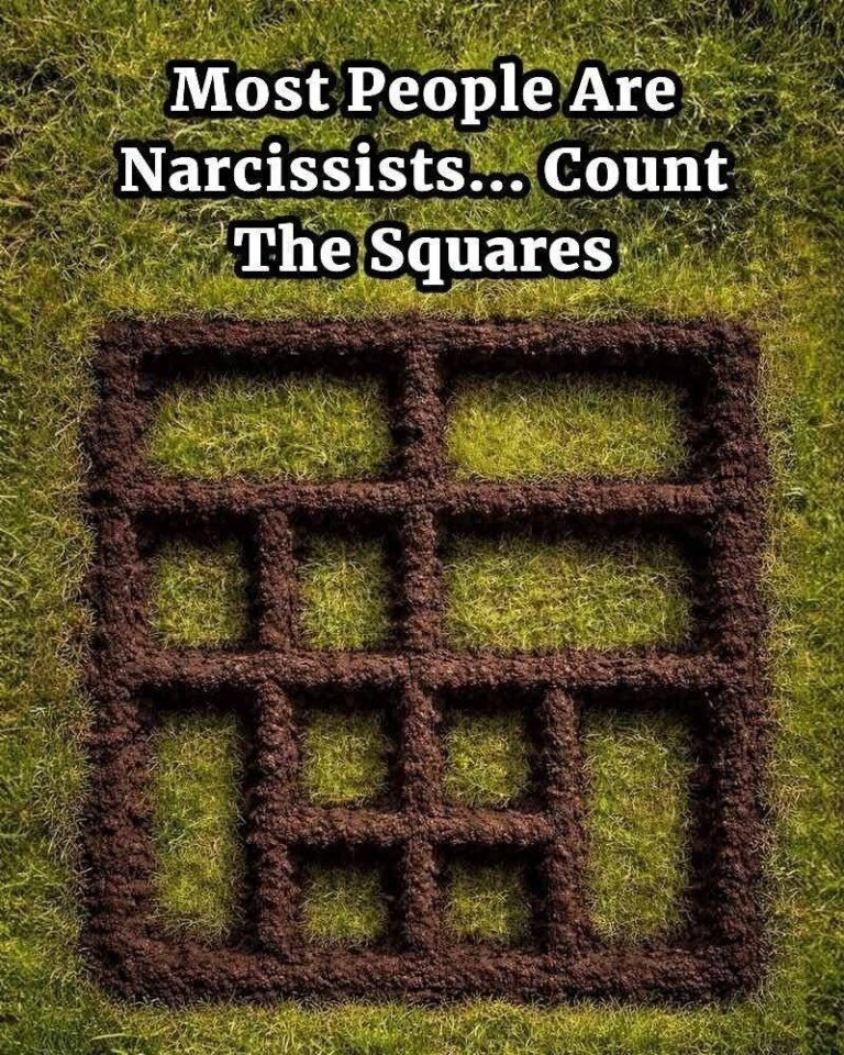 How Many Squares Can You Spot? What Your Answer Reveals About Your Mind