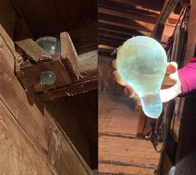 You Won’t Believe What We Found Hidden in Our Barn!