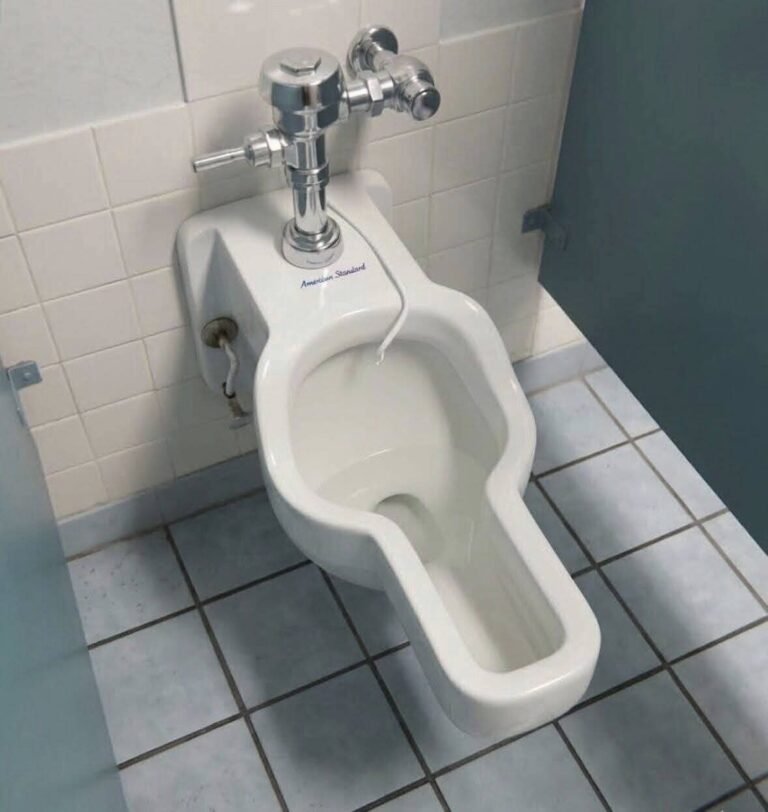 Female Urinals Explained: The Surprising Public Restroom Innovation at Huntsville Space Center