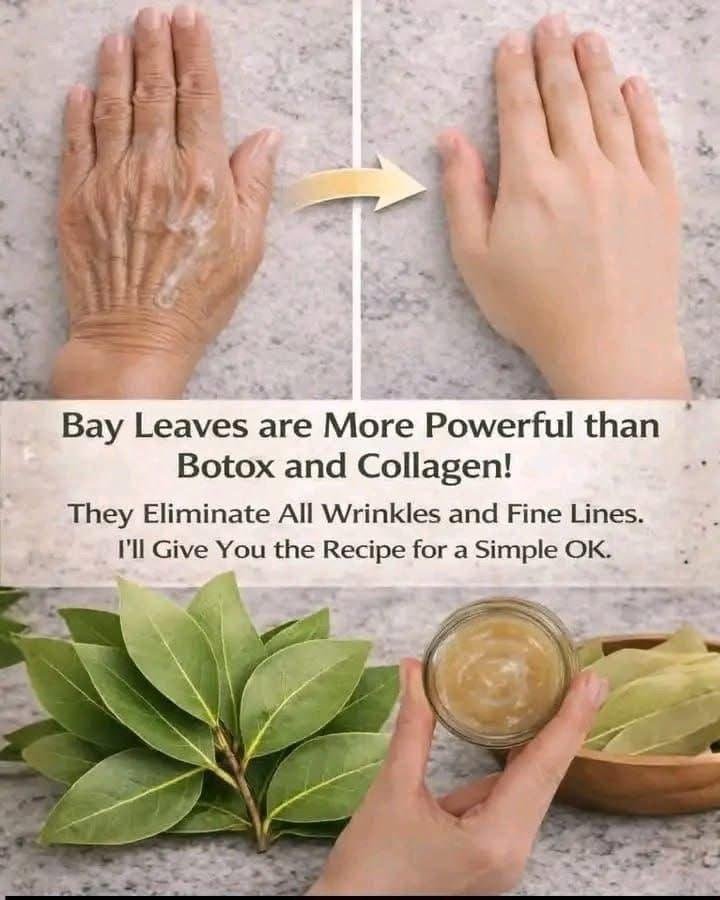 Bay Leaves for Skin Care
