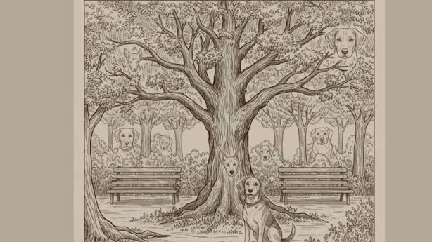 Can You Spot All 16 Dogs? Only the Sharpest Eyes Can 🐶👀